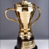 Piala Juara Umum Buddhayana Riau
