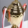 Detail Piala Bergilir Volly Ball Bintang Siang Cup