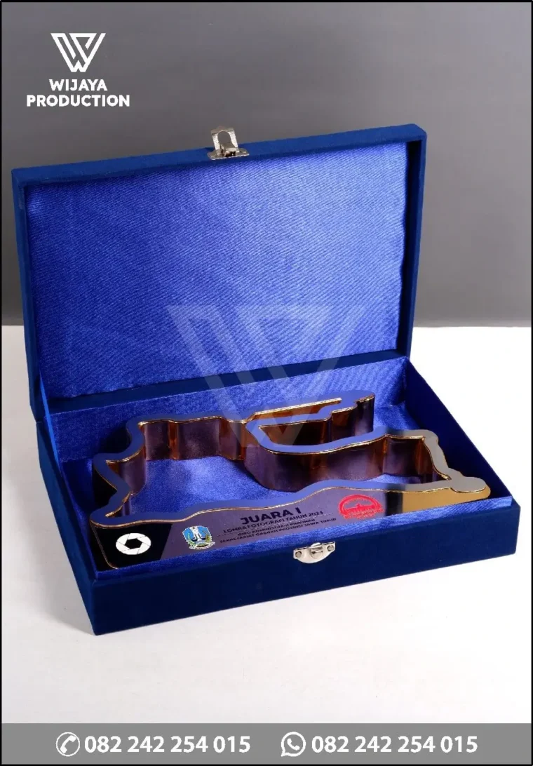 Box TR200 Piala Juara Lomba Fotografi RO ADPIM SETDA JATIM