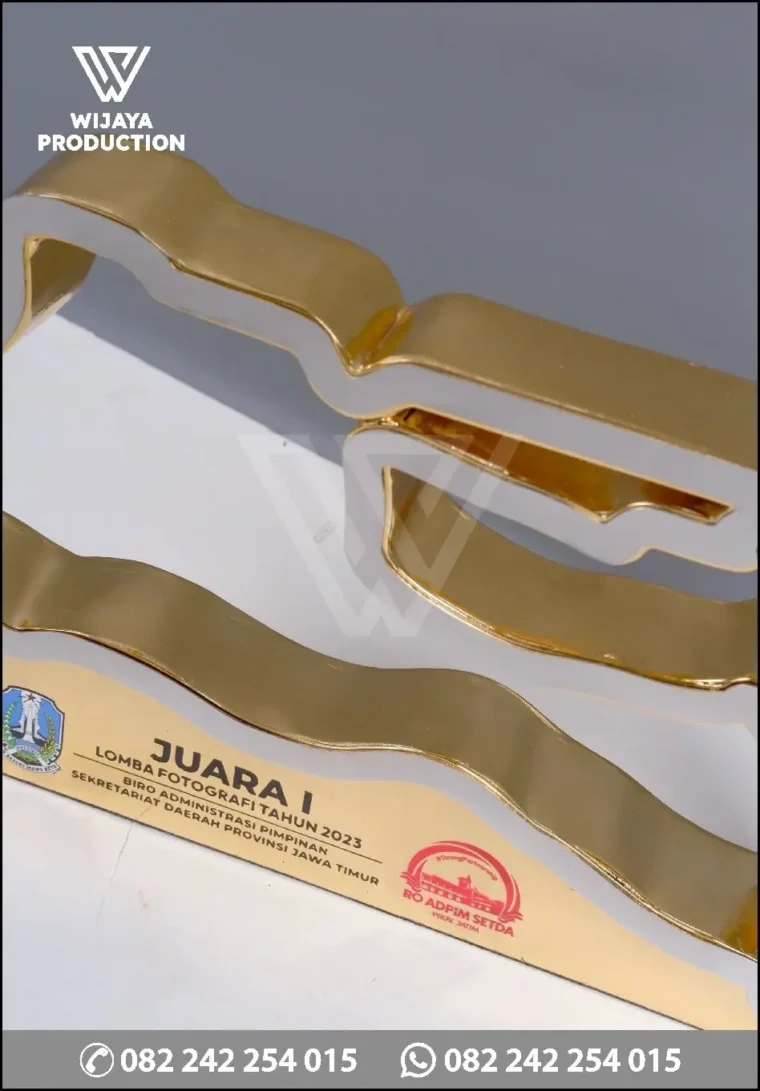 Detail TR200 Piala Juara Lomba Fotografi RO ADPIM SETDA JATIM