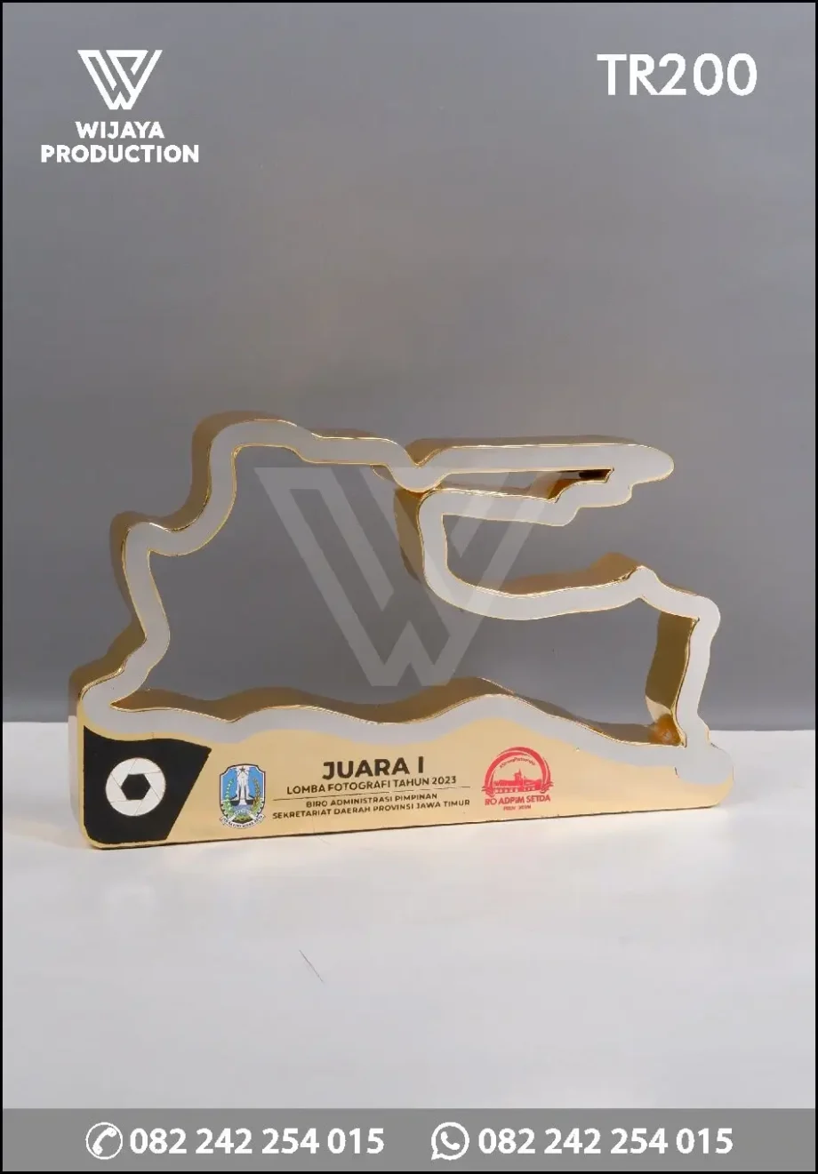 TR200 Piala Juara Lomba Fotografi RO ADPIM SETDA JATIM